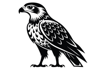 Fototapeta premium hawk silhouette line art vector illustration with a white background