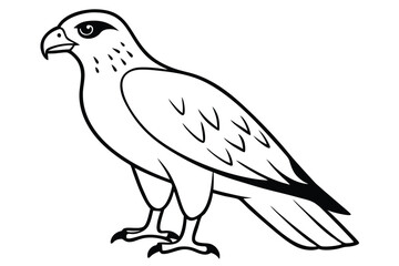 Fototapeta premium hawk silhouette line art vector illustration with a white background