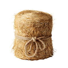 Professional Bale of Golden Straw for Stunning Visuals and Marketing