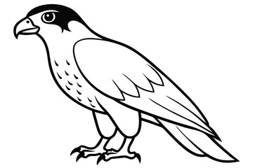 Fototapeta premium hawk silhouette line art vector illustration with a white background