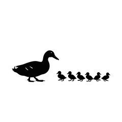 Duck & Duckling Designs – Swimming, Mother & Baby Duck Illustrations Collection