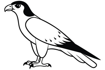 Fototapeta premium hawk silhouette line art vector illustration with a white background