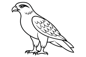Fototapeta premium hawk silhouette line art vector illustration with a white background