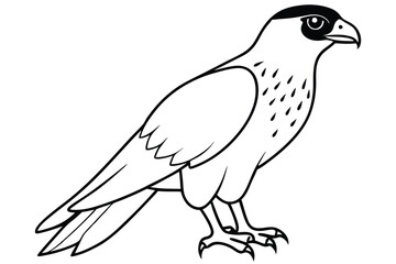 hawk silhouette line art vector illustration with a white background