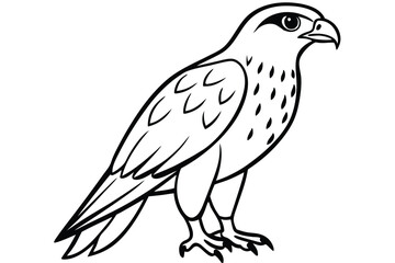 Obraz premium hawk silhouette line art vector illustration with a white background