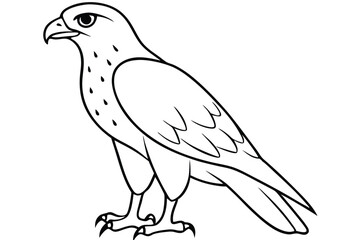 Obraz premium hawk silhouette line art vector illustration with a white background