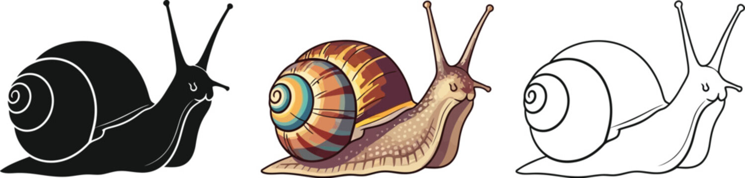 Collection of three distinct snail illustrations featuring a silhouette a full color version and a simple outline drawing