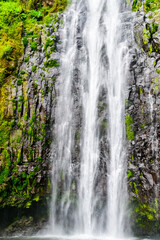 Obraz premium View of Materuni waterfall at foot of mountain Kilimanjaro not far from the city Moshi, Tanzania
