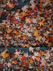 Colorful fallen maple leaves covering wooden steps on fall day.