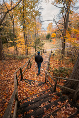 Man and dog walking down leaf covered wooden stairs on autumn day.