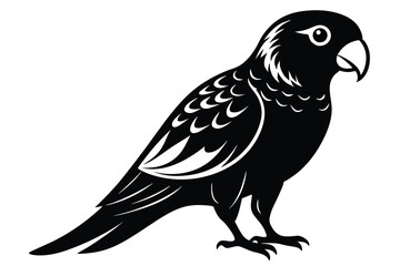 Obraz premium lorikeet silhouette line art vector illustration with a white background