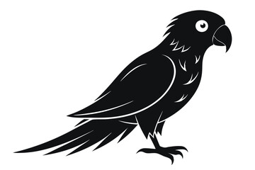 Obraz premium lorikeet silhouette line art vector illustration with a white background