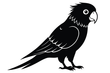 Fototapeta premium lorikeet silhouette line art vector illustration with a white background