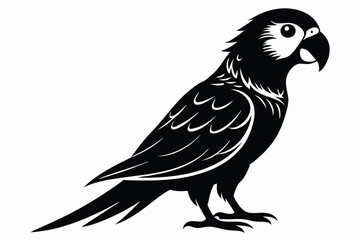 lorikeet silhouette line art vector illustration with a white background