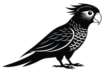 lorikeet silhouette line art vector illustration with a white background