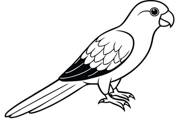 lorikeet silhouette line art vector illustration with a white background