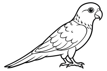 Obraz premium lorikeet silhouette line art vector illustration with a white background