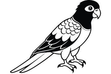 Obraz premium lorikeet silhouette line art vector illustration with a white background