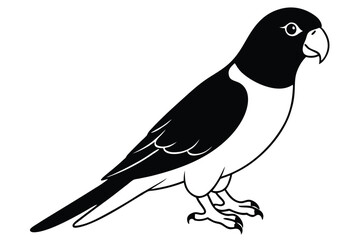 Obraz premium lorikeet silhouette line art vector illustration with a white background