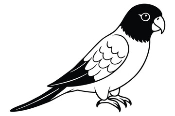 Obraz premium lorikeet silhouette line art vector illustration with a white background