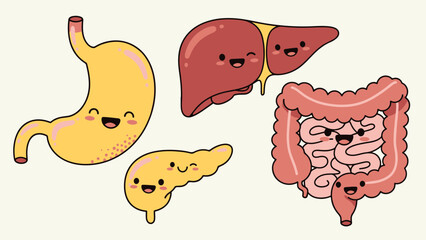 Vibrant and Cheerful Human Internal Organs Cartoon for Medical and Educational Use