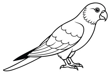 Obraz premium lorikeet silhouette line art vector illustration with a white background