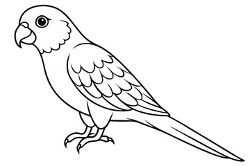 Obraz premium lorikeet silhouette line art vector illustration with a white background