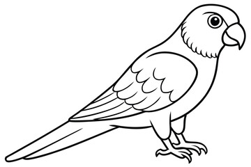 Obraz premium lorikeet silhouette line art vector illustration with a white background
