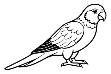 Obraz premium lorikeet silhouette line art vector illustration with a white background