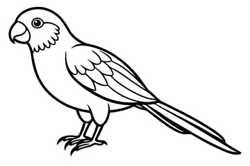 Obraz premium lorikeet silhouette line art vector illustration with a white background