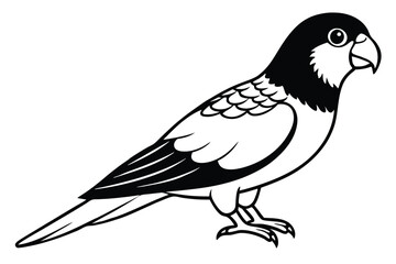 Obraz premium lorikeet silhouette line art vector illustration with a white background