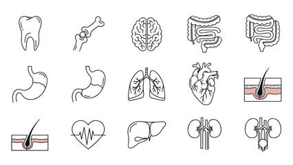 Grid of white line art icons illustrating human internal organs and key anatomical structures on a dark background for science education.