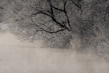 Hoarfrost River Scene from Otowa Bridge / 音羽橋の霧氷の川景色