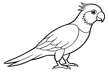 Obraz premium lorikeet silhouette line art vector illustration with a white background