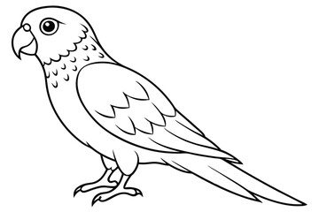 lorikeet silhouette line art vector illustration with a white background