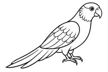 lorikeet silhouette line art vector illustration with a white background