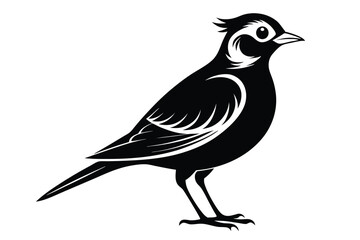 Obraz premium lark silhouette line art vector illustration with a white background