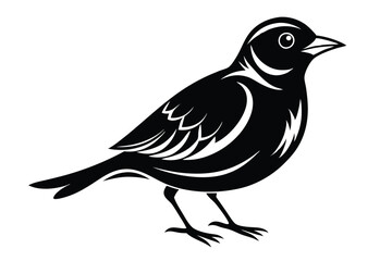 Obraz premium lark silhouette line art vector illustration with a white background