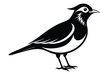 Obraz premium lark silhouette line art vector illustration with a white background