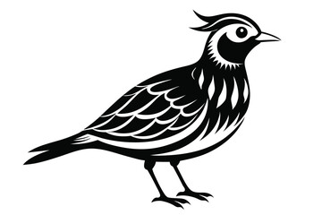 Obraz premium lark silhouette line art vector illustration with a white background