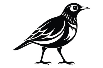 Obraz premium lark silhouette line art vector illustration with a white background