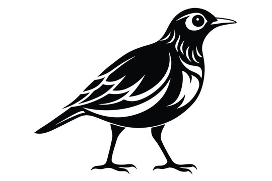 lark silhouette line art vector illustration with a white background