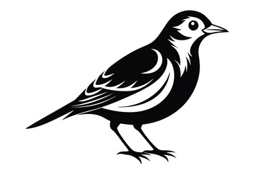 Obraz premium lark silhouette line art vector illustration with a white background