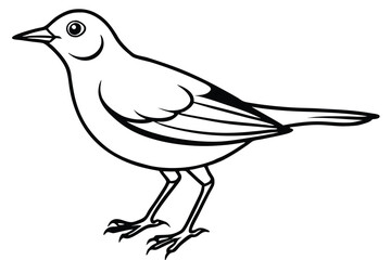 Obraz premium lark silhouette line art vector illustration with a white background