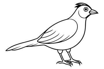 Obraz premium lark silhouette line art vector illustration with a white background