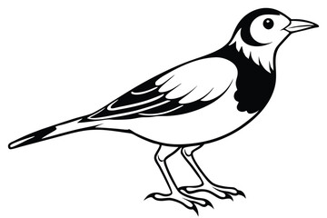 Obraz premium lark silhouette line art vector illustration with a white background