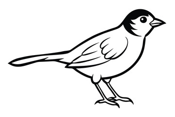 Obraz premium lark silhouette line art vector illustration with a white background