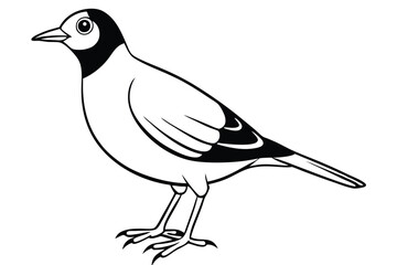 Obraz premium lark silhouette line art vector illustration with a white background