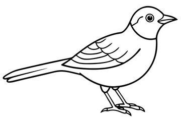 Obraz premium lark silhouette line art vector illustration with a white background