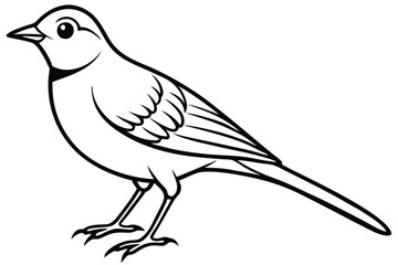 Obraz premium lark silhouette line art vector illustration with a white background